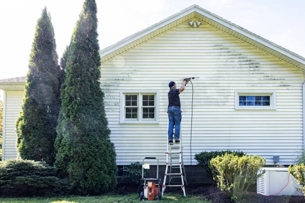 Best Patio and Deck Pressure Washing  in Triangle, VA